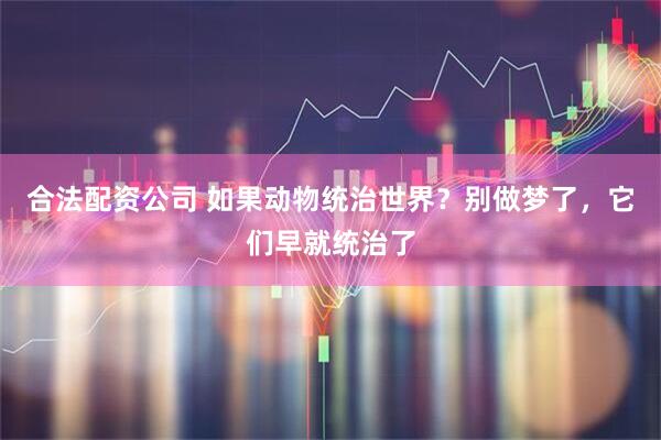 合法配资公司 如果动物统治世界？别做梦了，它们早就统治了