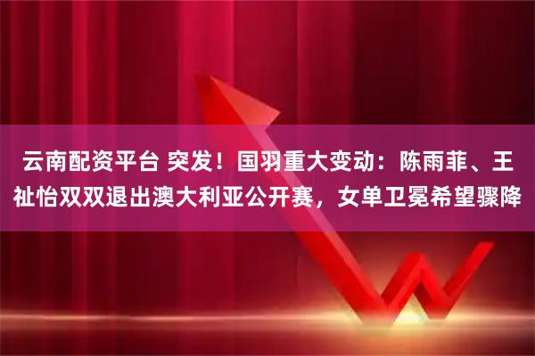 云南配资平台 突发！国羽重大变动：陈雨菲、王祉怡双双退出澳大利亚公开赛，女单卫冕希望骤降